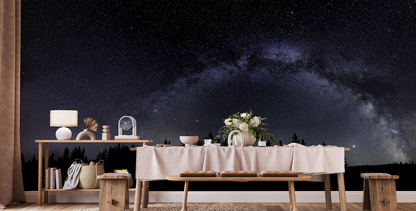 Mystical starry mural showcasing the Milky Way