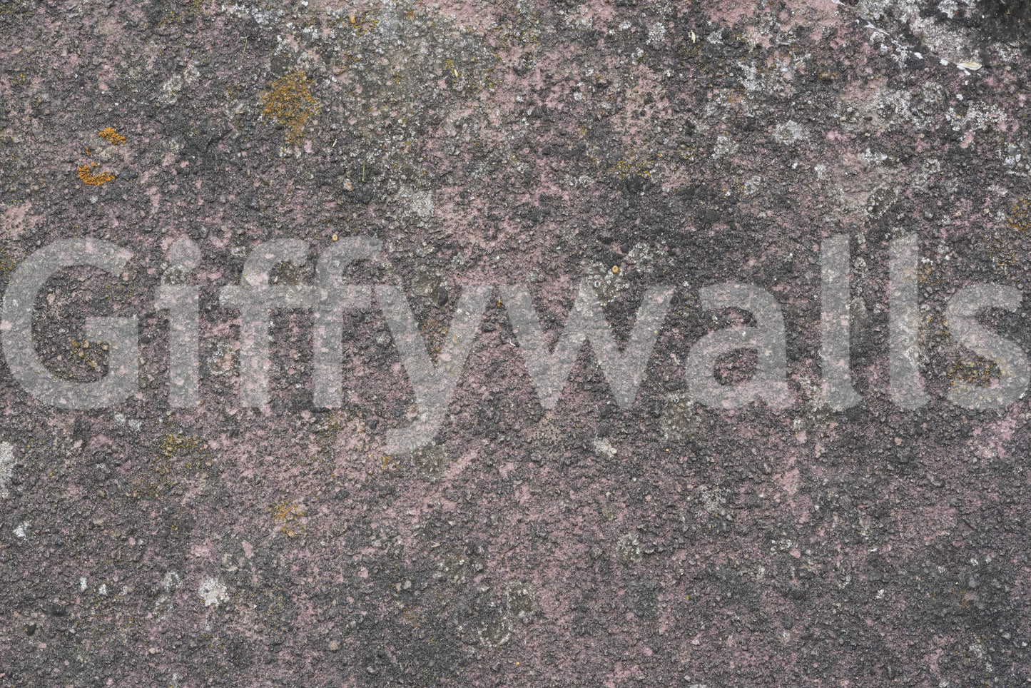 Aged Earth Wall Mural -2566601