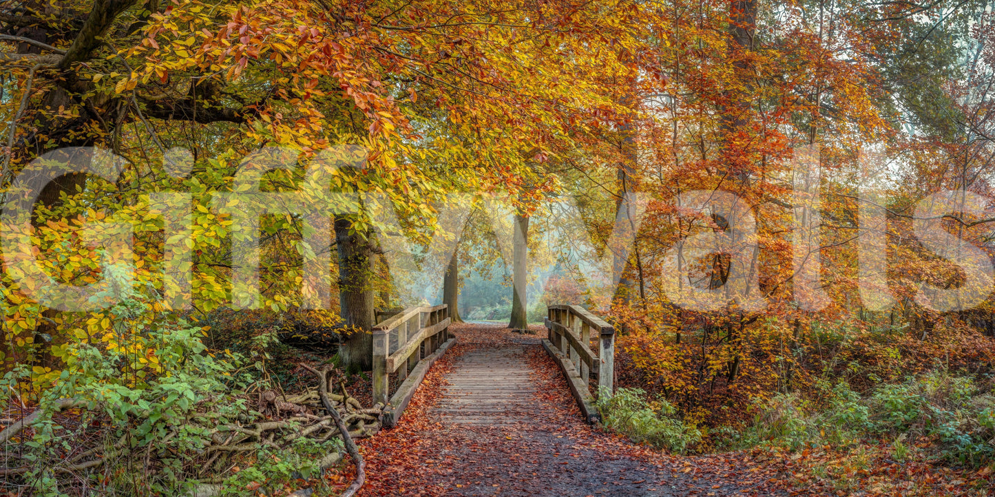 The wallpaper features a subtle, calming pattern.