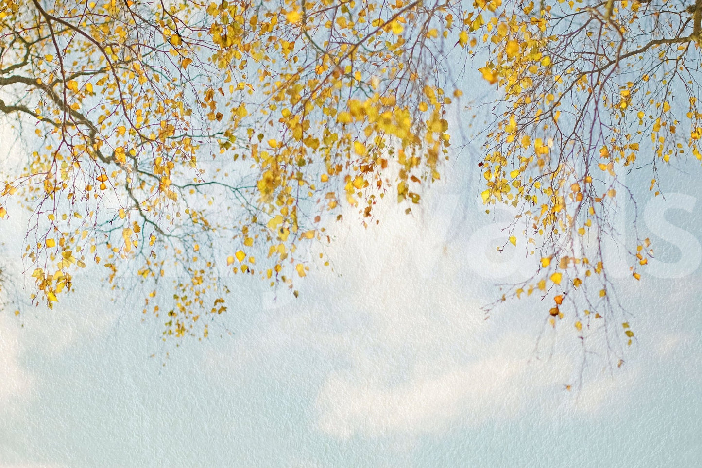 Inspiring Autumn Hues Woodland print, watercolor effect, exclusive wallpaper.