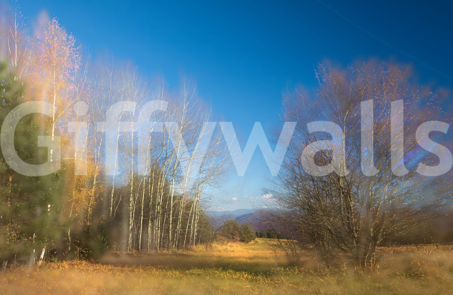 The serene landscape creates a calming and spacious feel.