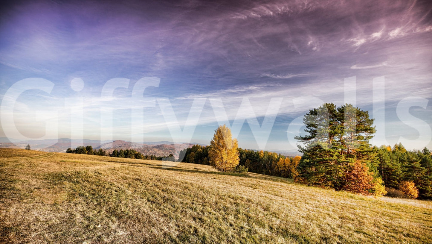 The Autumn Meadow mural gives the room a quiet, spacious feel.