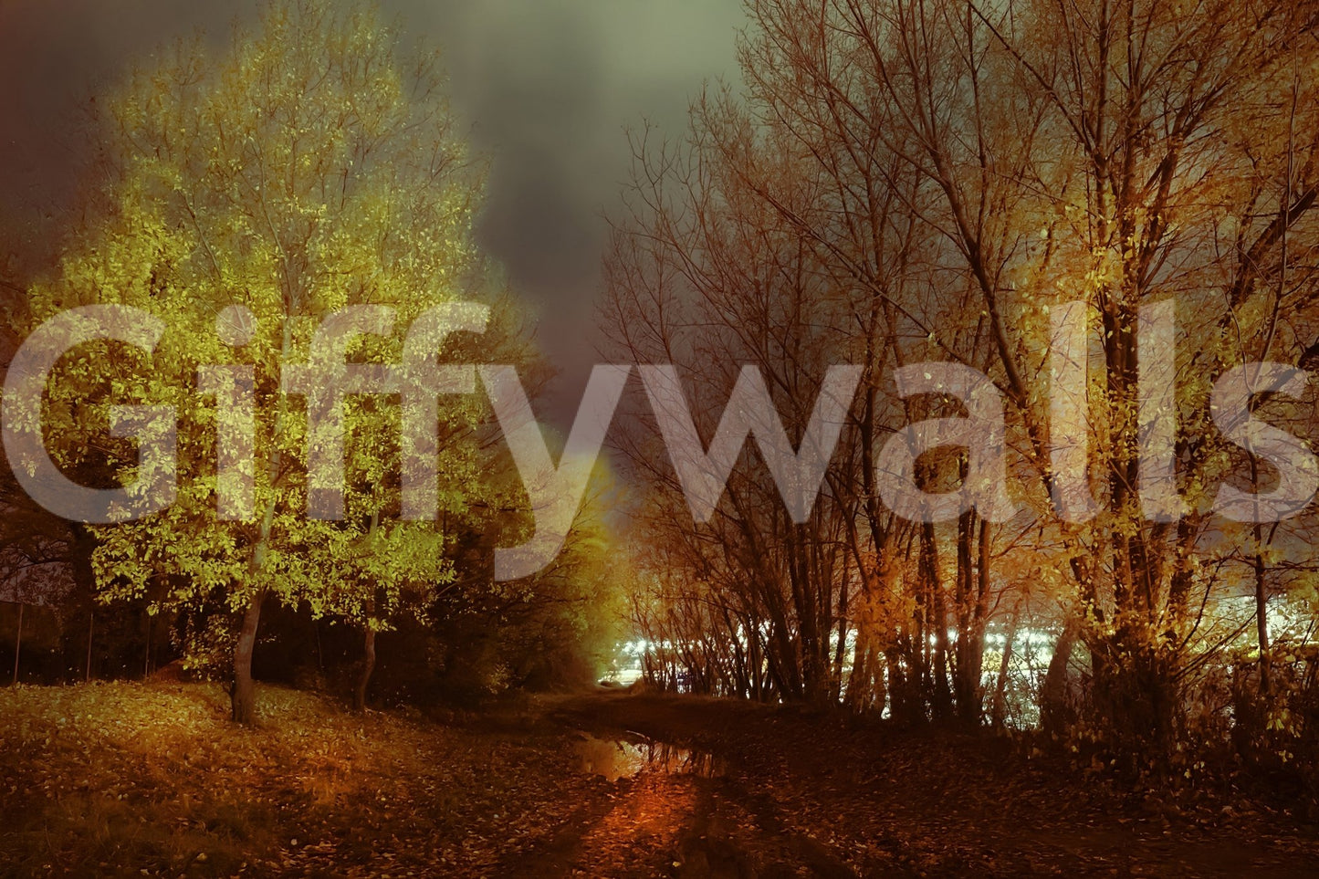 Soft lighting effects on the water.