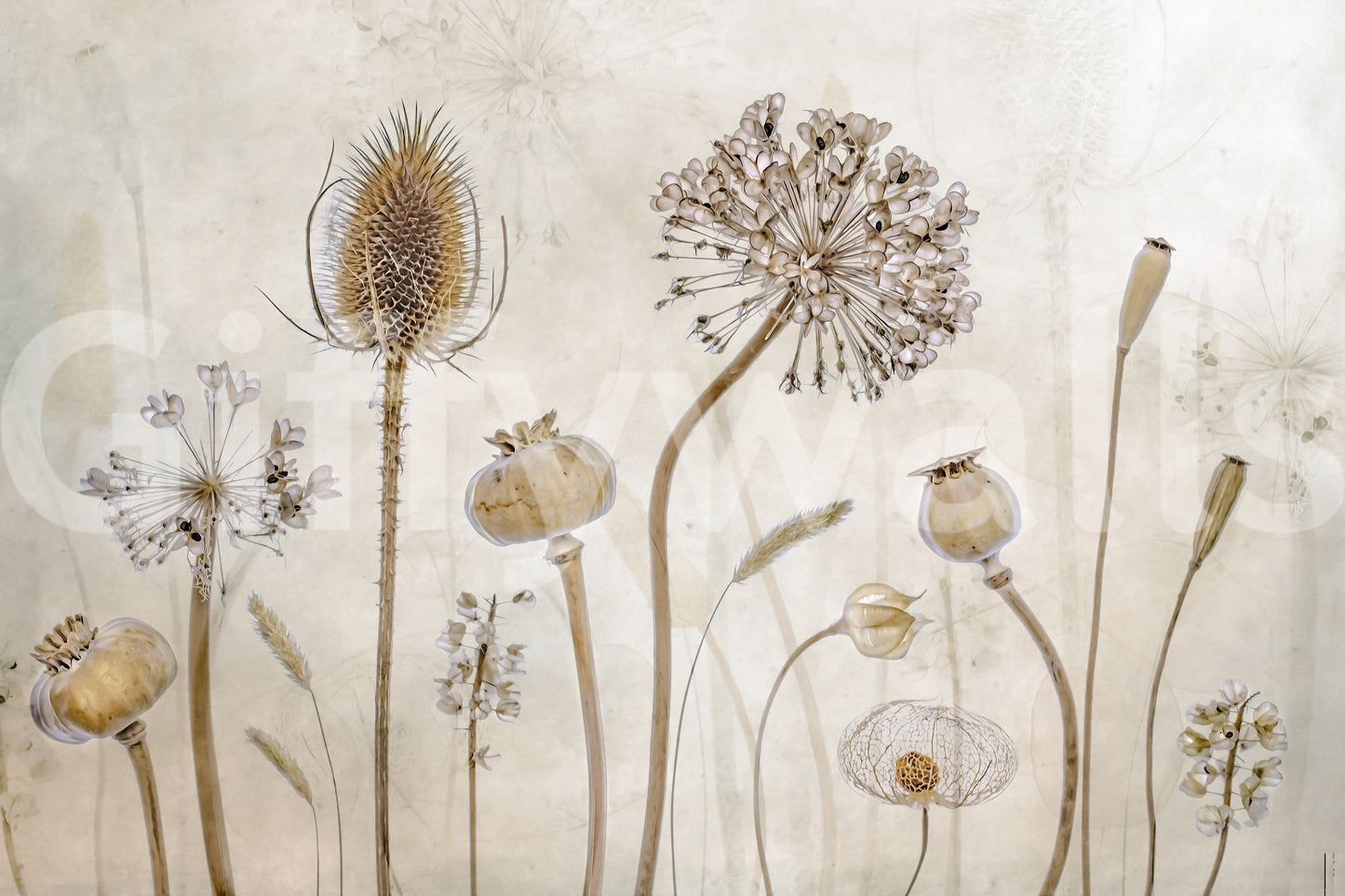 A high-quality serene flower wall mural for walls.