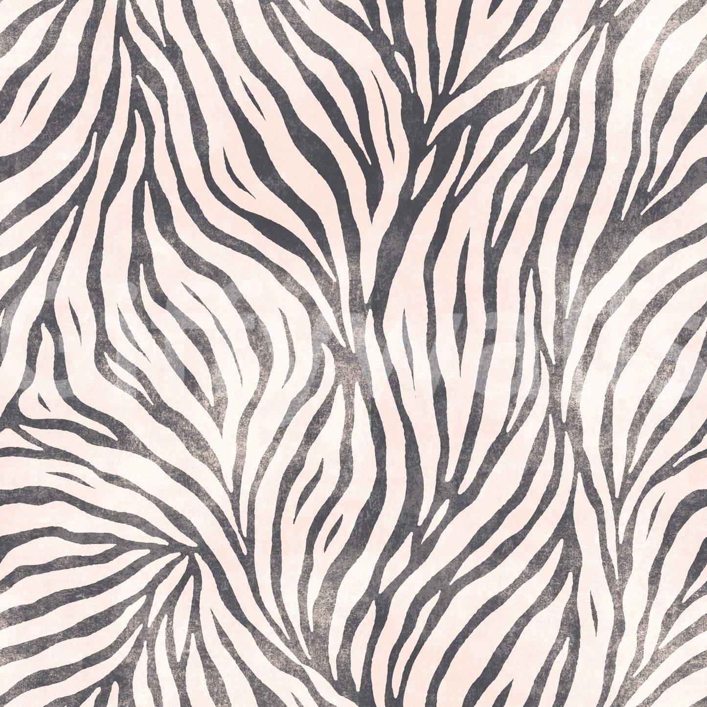 Black and White Boho Zebra Wallpaper