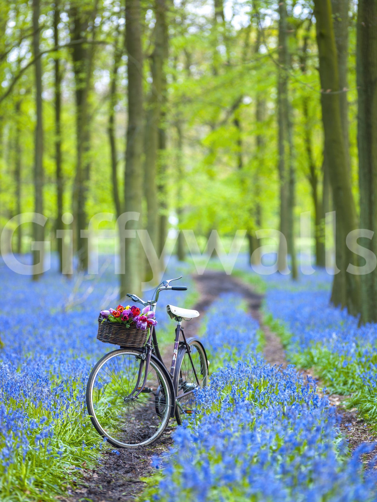 Forest Path Discovery spring forest scene wall paper.