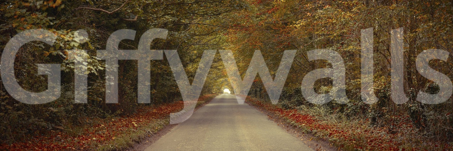 Provides a grand and artistic backdrop.