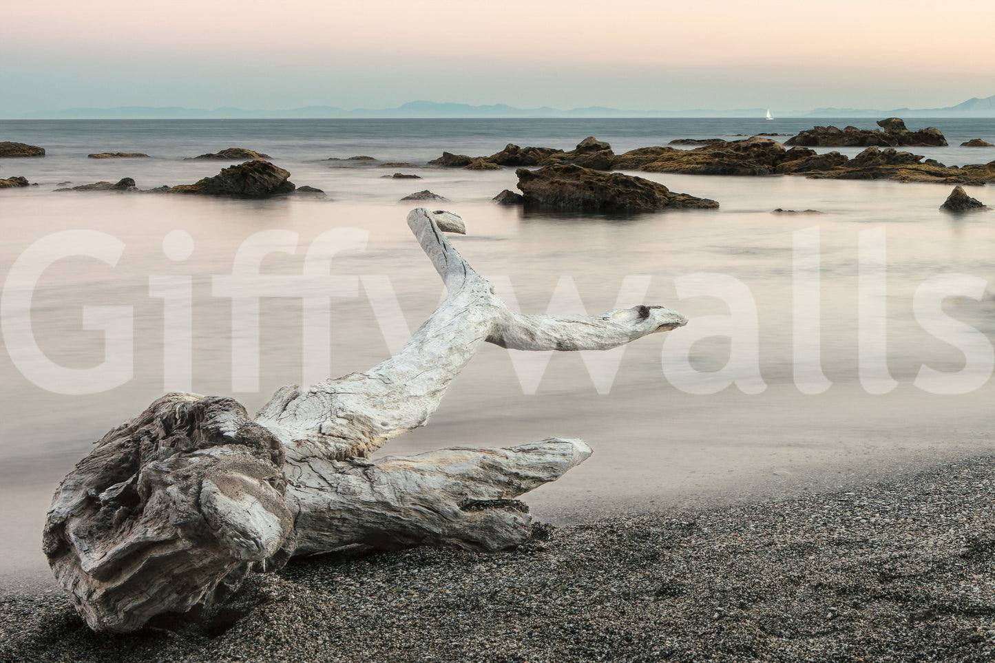 Shoreline Symphony Wall Mural -2595816