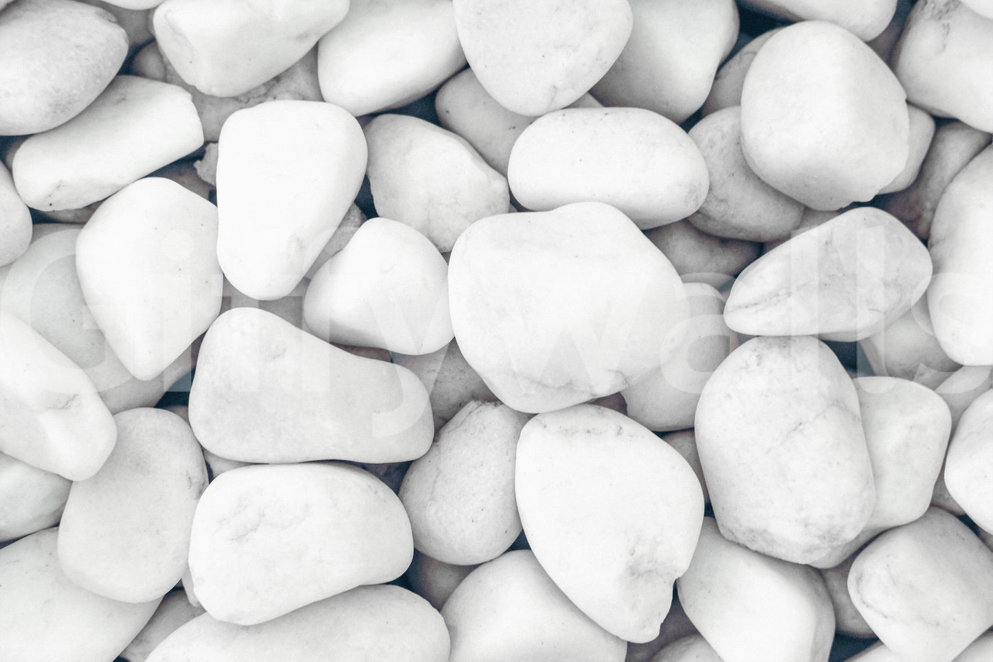 White Pebble Dream wallpaper mural close-up showing smooth rounded white pebbles in soft grey-and-white tones
