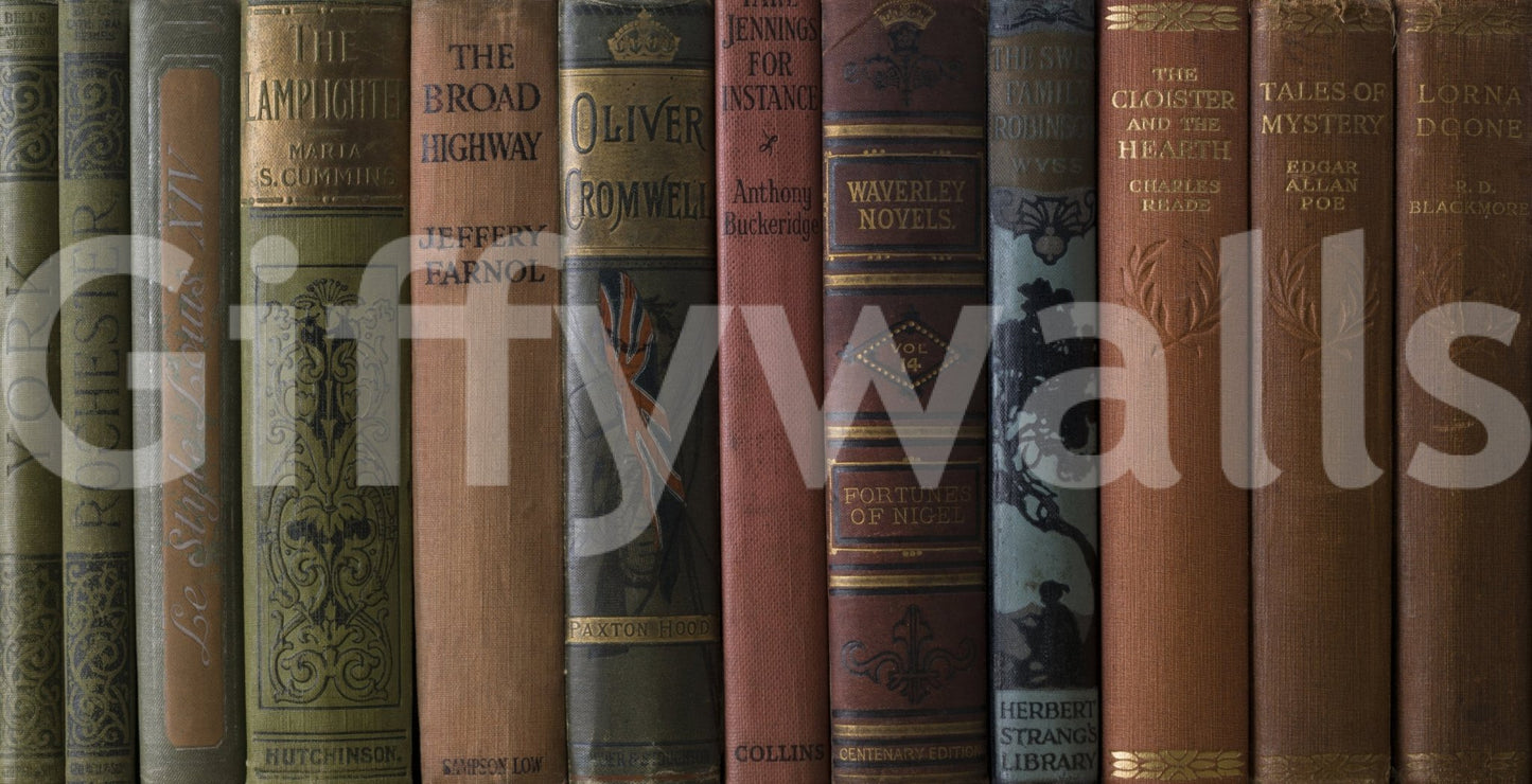 Traditional library wall mural with volumes