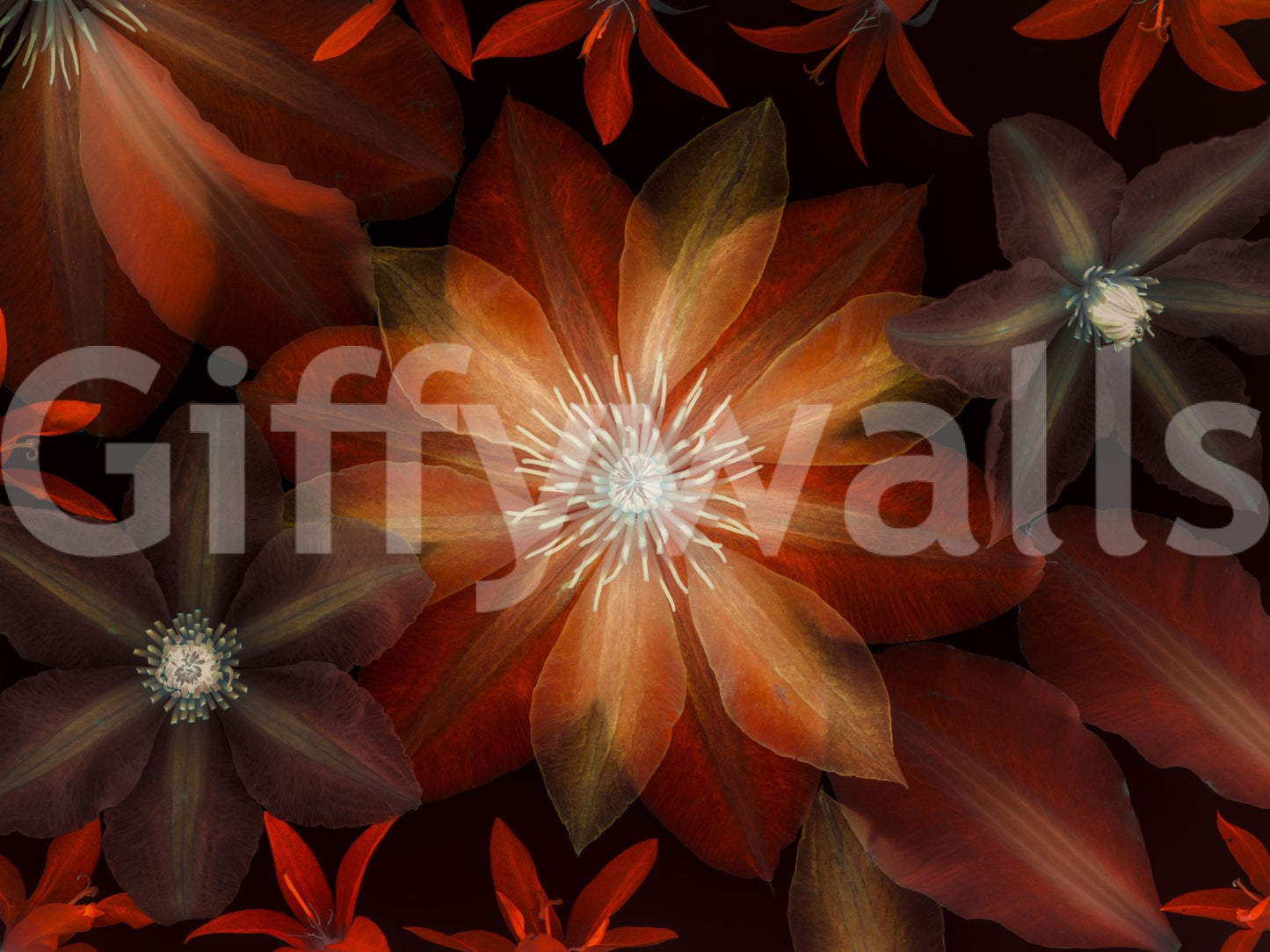 The wallpaper has a smooth, non-reflective matte finish.