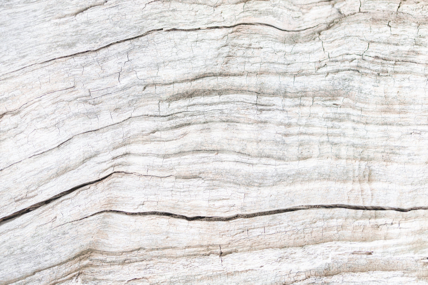 Driftwood Texture Wall Mural -2306171