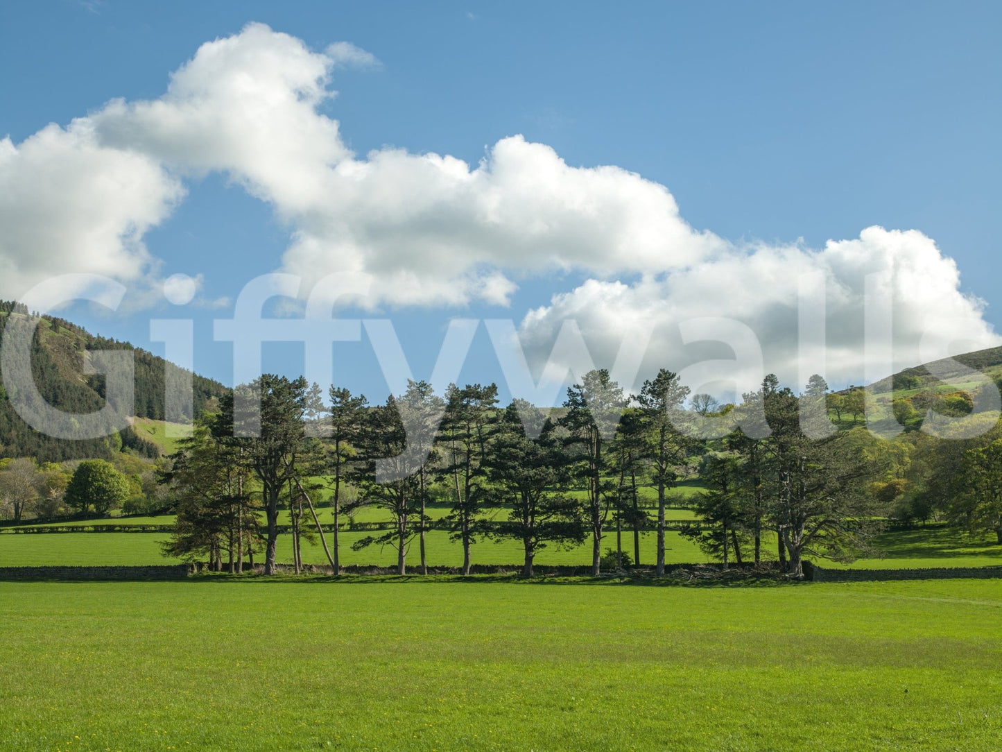 Countryside Meadow Wall Mural