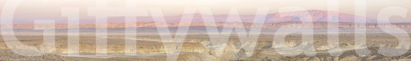 Subtle sunrise wall mural