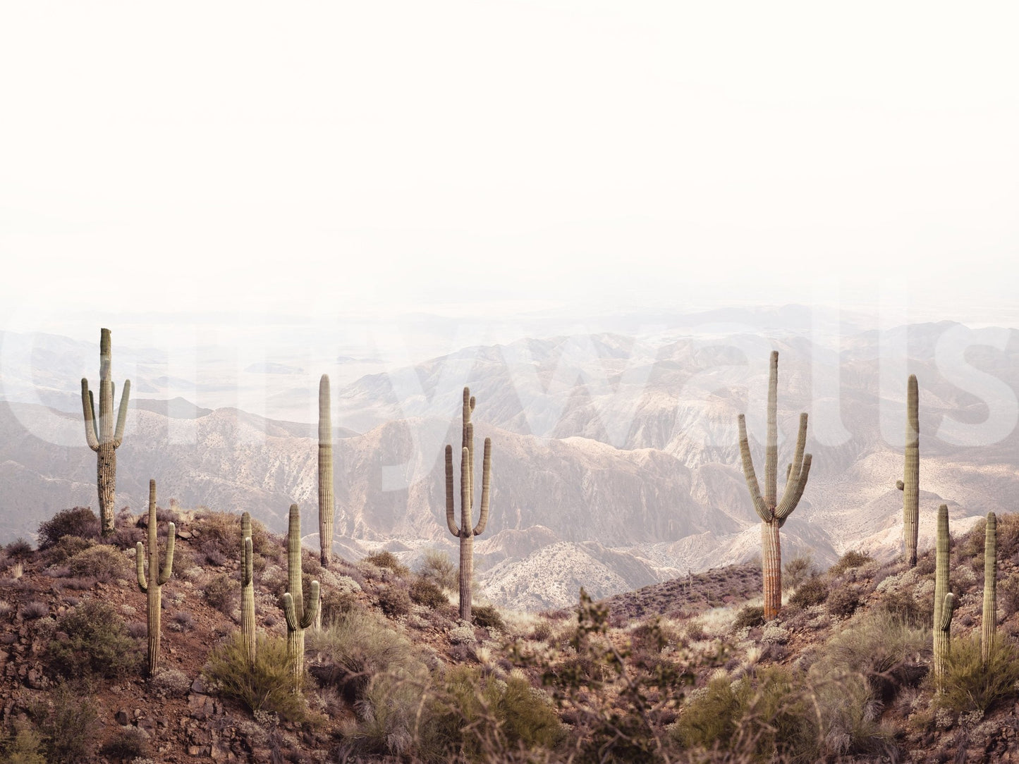 Beautiful desert vista mural perfect for creating a serene, peaceful room.