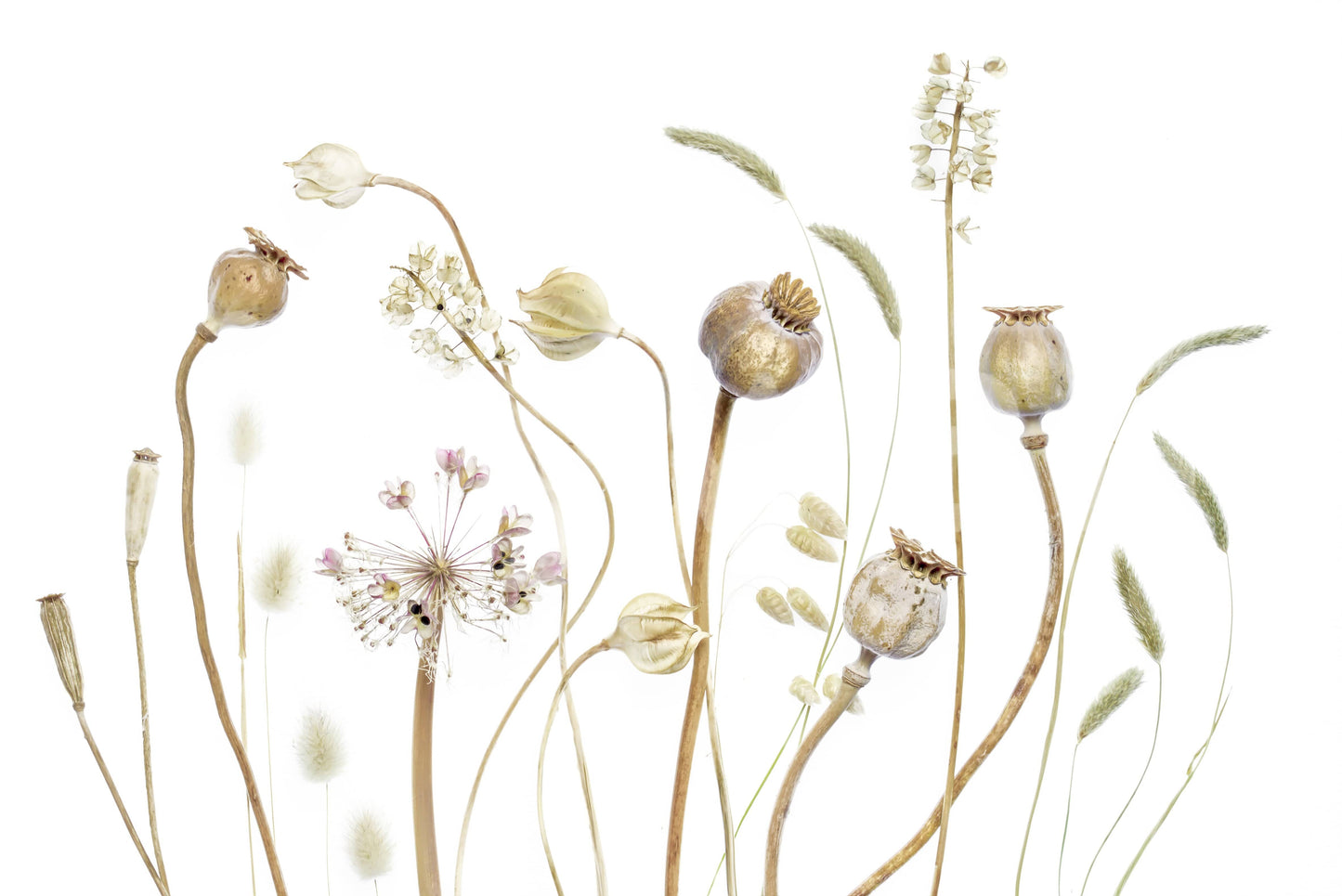 A calming serene field wallpaper mural that defines a space.