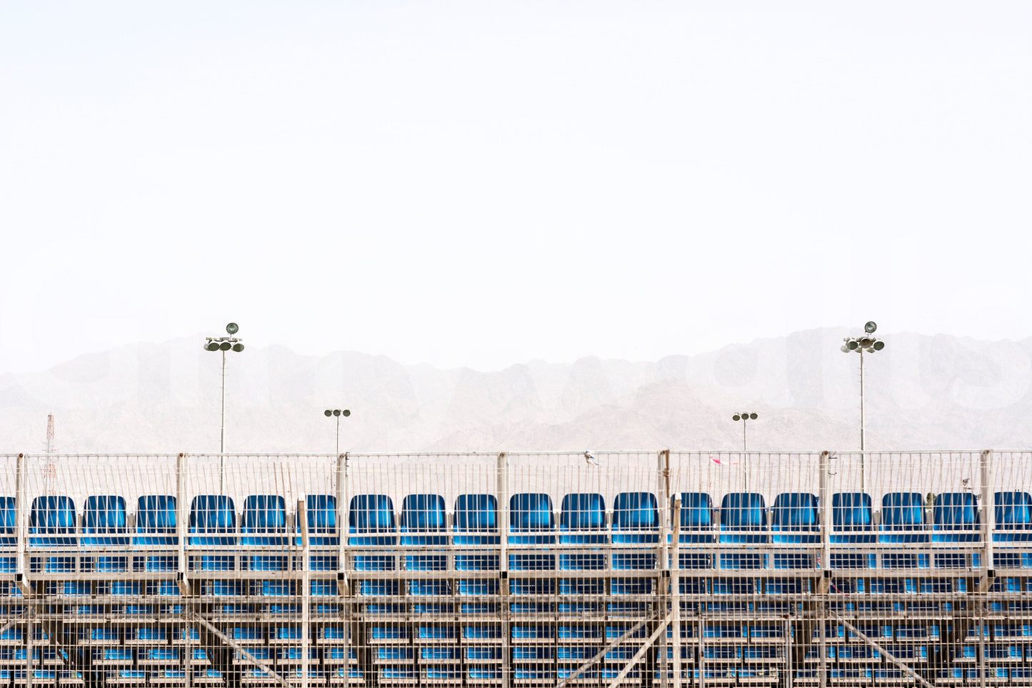 A high-quality serene desert wall mural for walls.