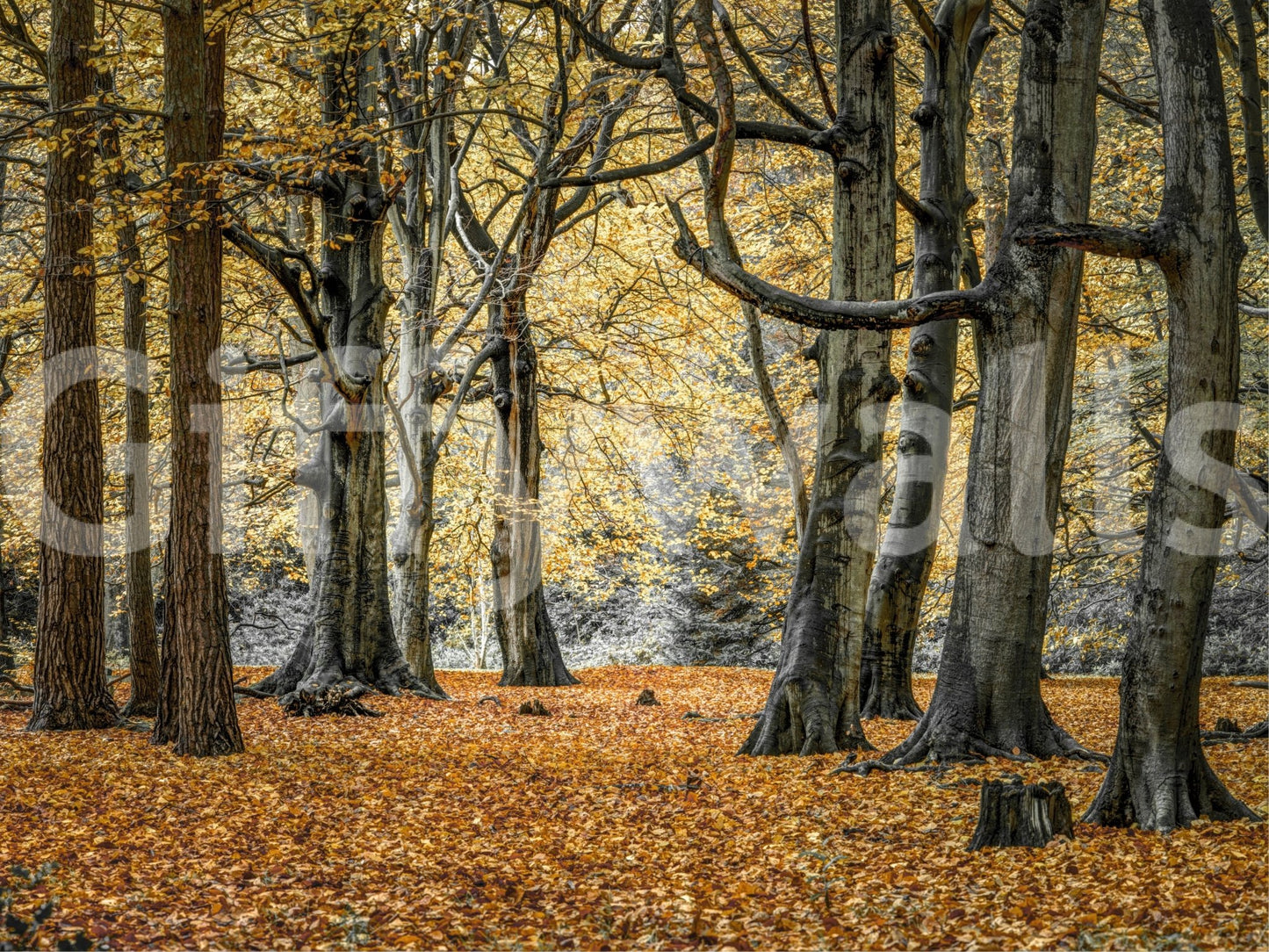 Harmonious and grounding aesthetic.