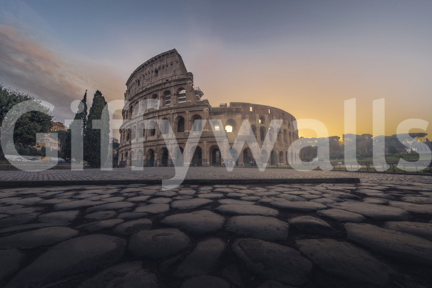Eternal Rome's Colosseum Wall Mural in entryway, modern console, classic landmark backdrop