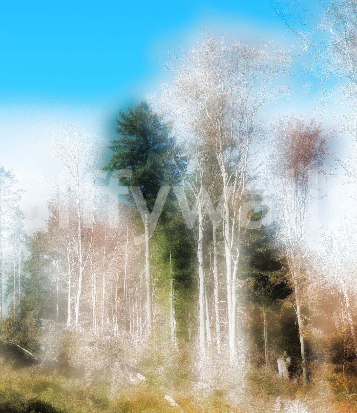 Muted tones forest wall mural