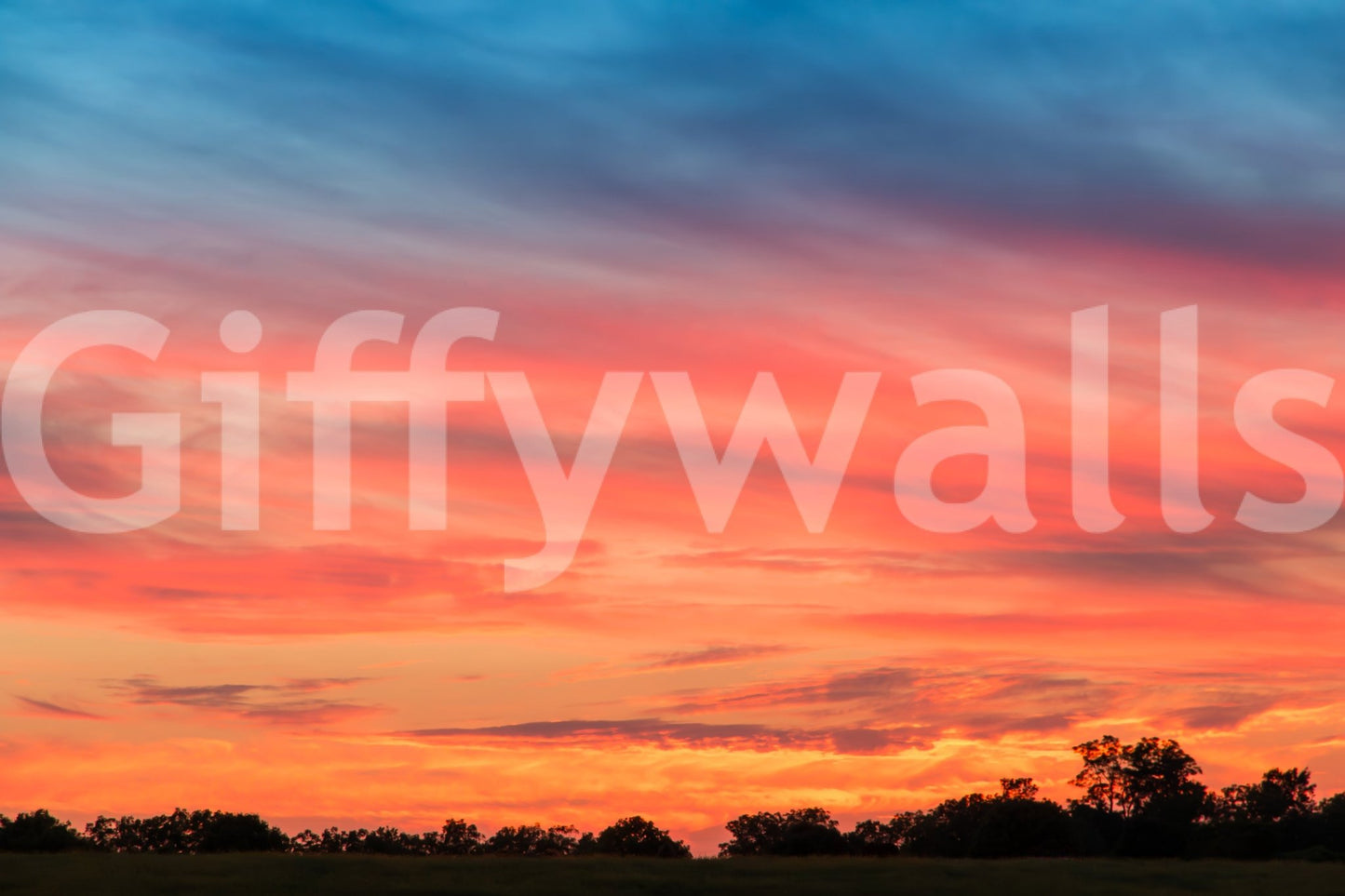 Warm tone wall mural with nature view