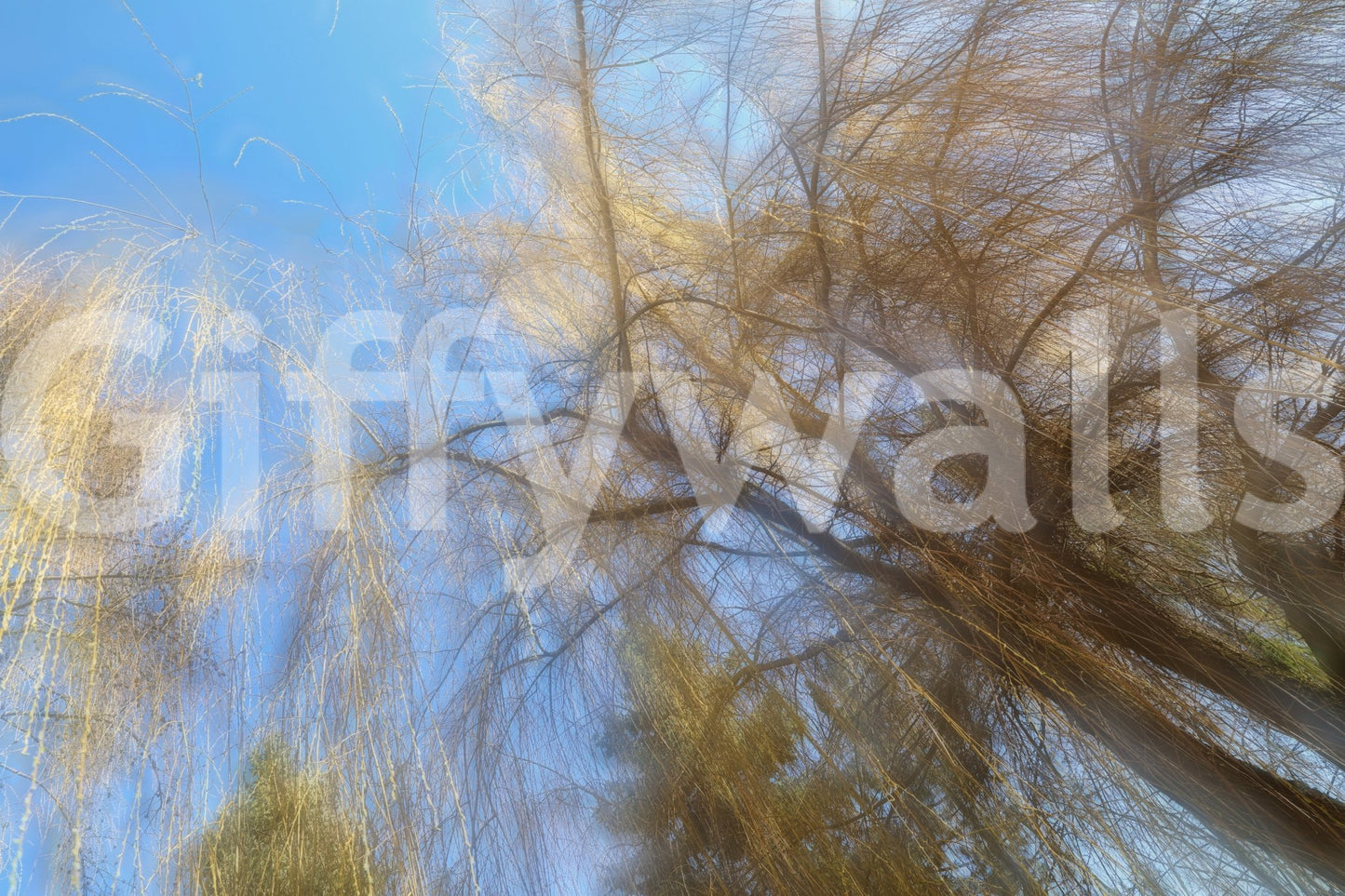 Delicate interplay of light and shadow.