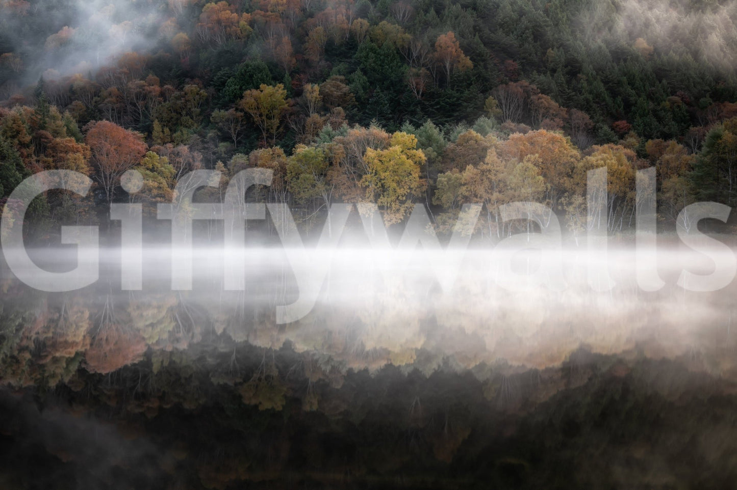Nature wallpaper for walls: forest border, glassy water effect.