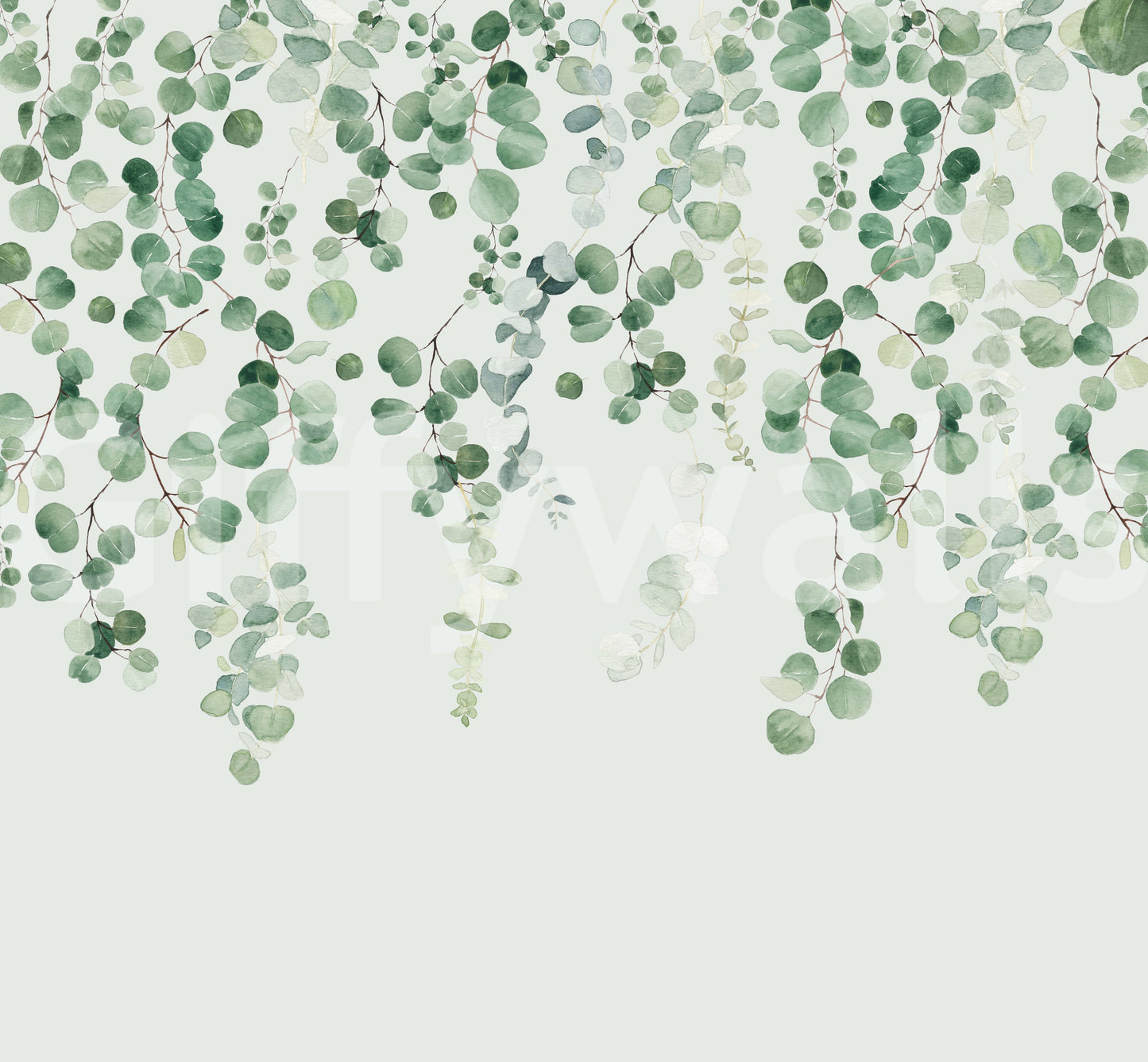 Eucalyptus foliage wallpaper for walls