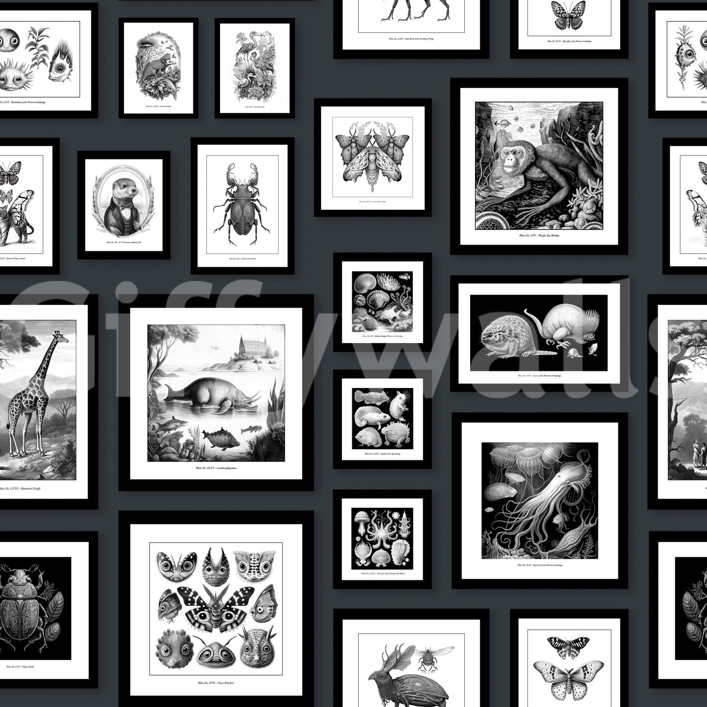 Mysterious creature design on deep grey wallpaper