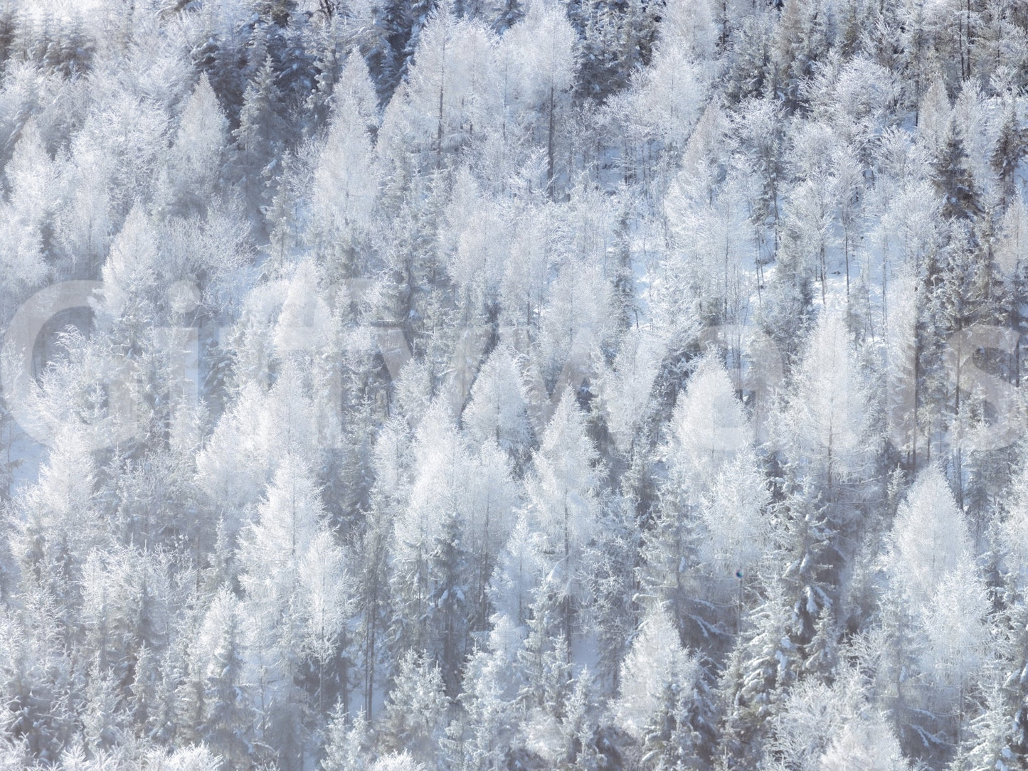 Serene and calming aesthetic.