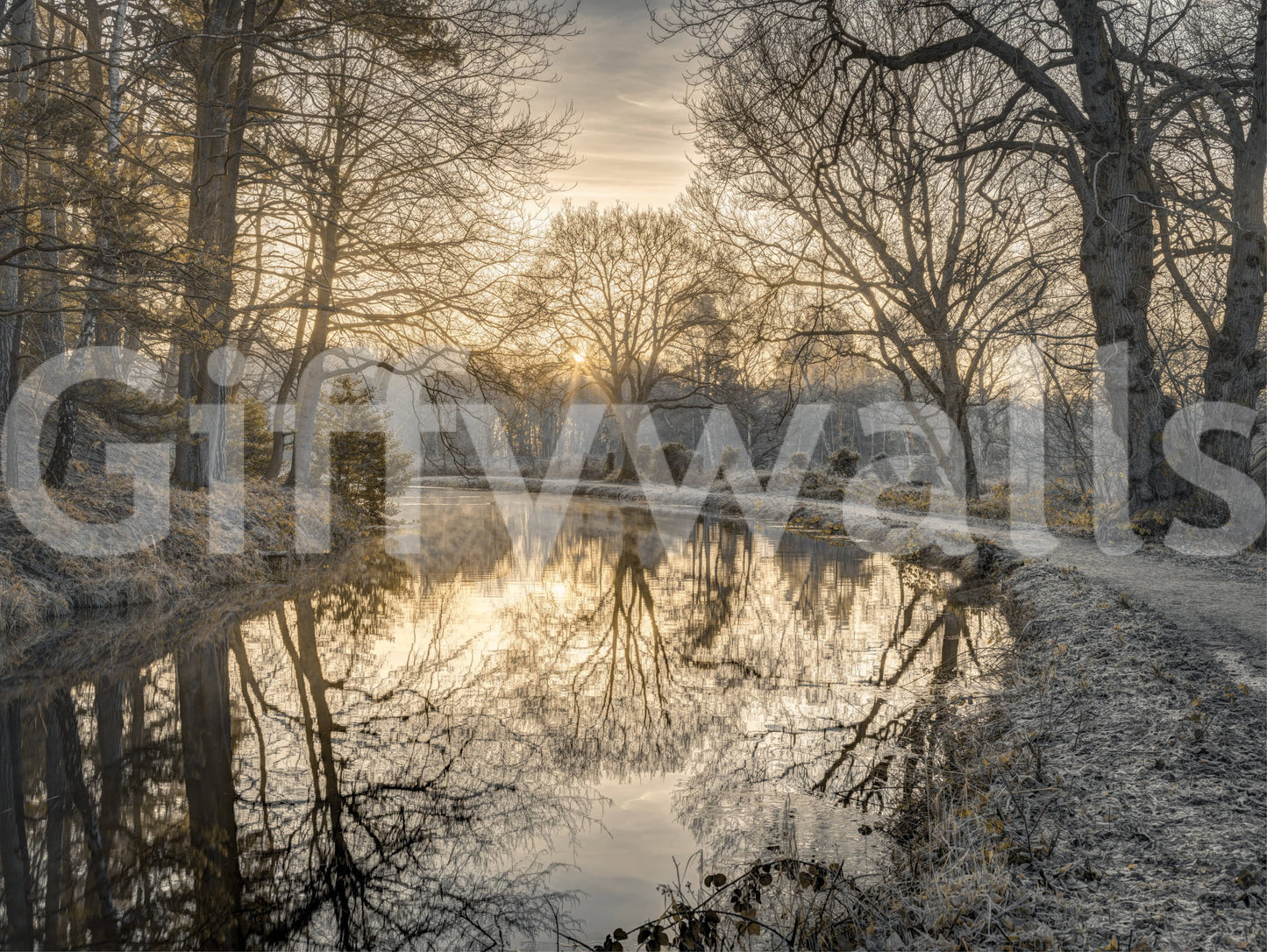 Frosty Morning calming wallpaper