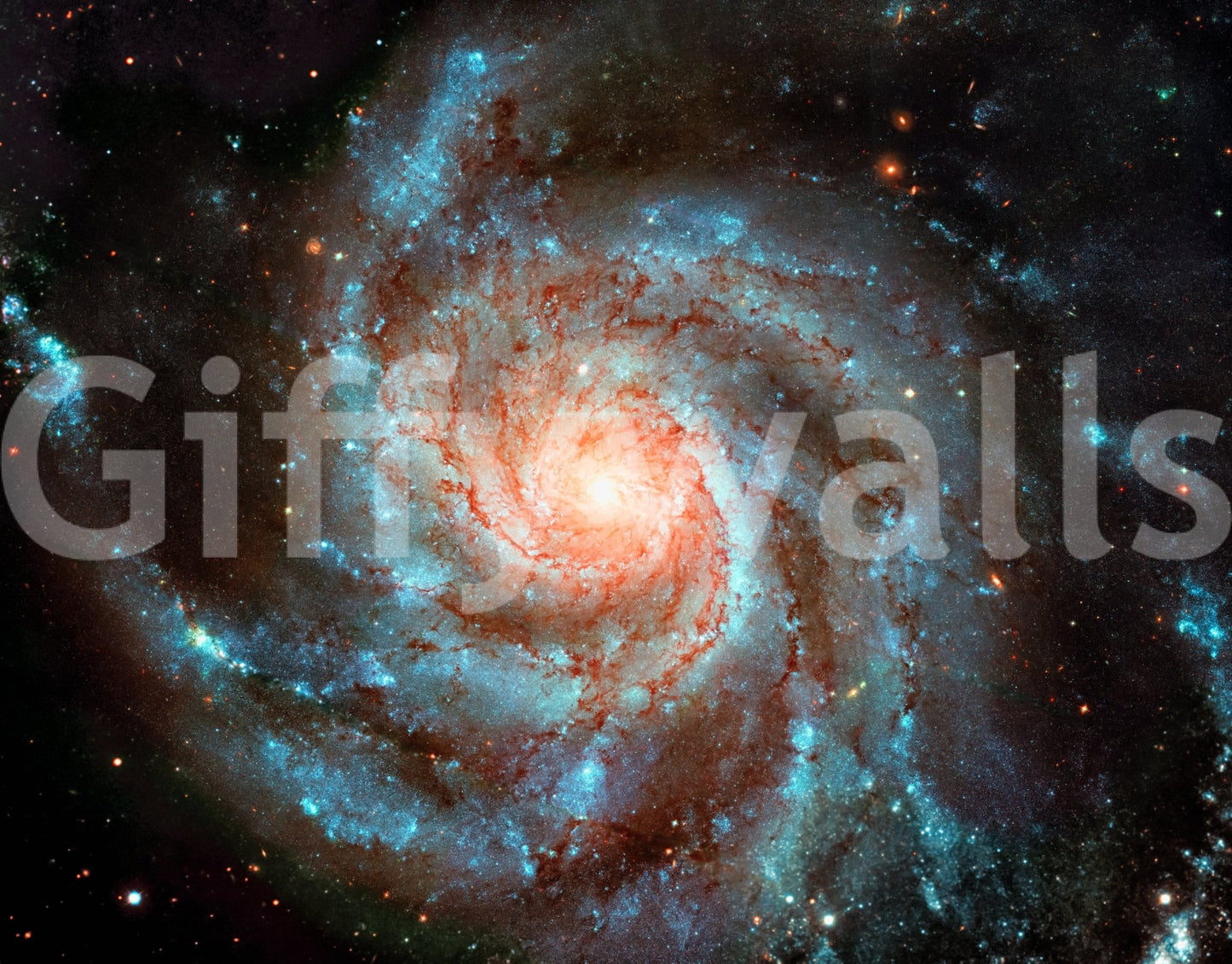 The wallpaper has a smooth, non-reflective matte finish.