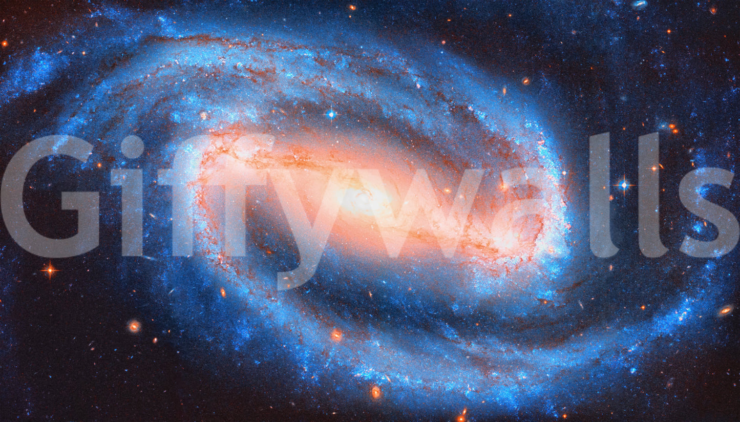 Galaxy Dream Wall Mural