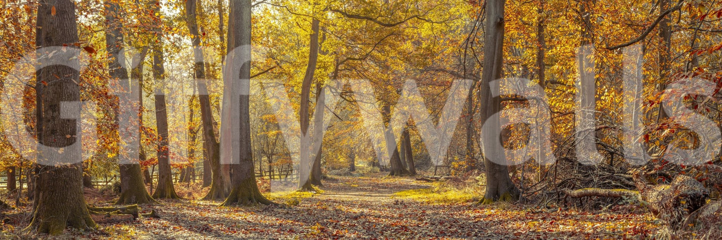 Wall decor evoking the beauty of the fall season.