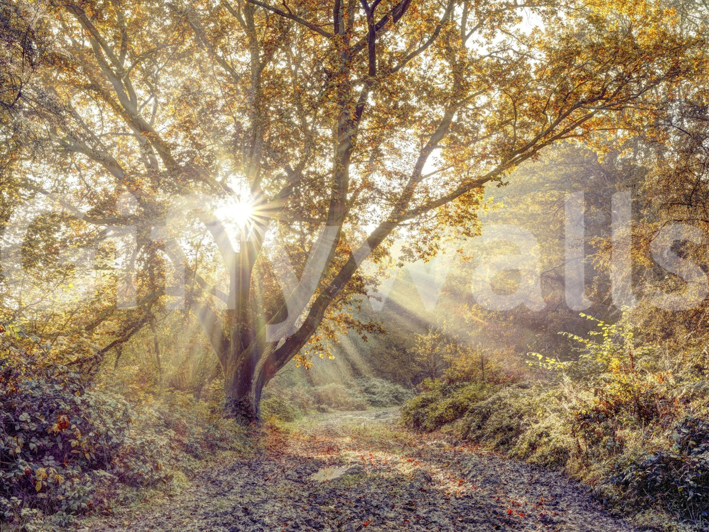 The design is non-realistic and interpretive.