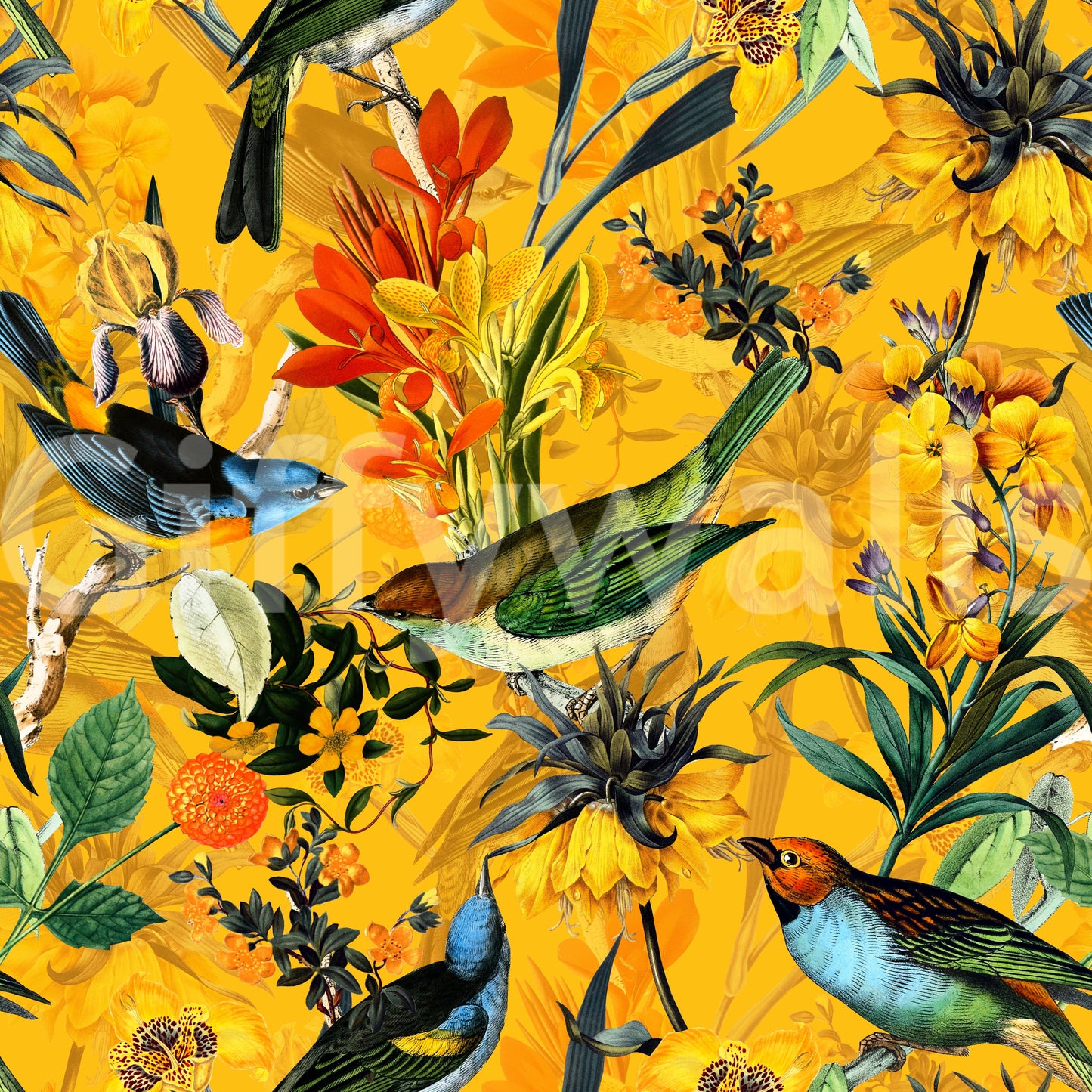 Elegant bird wallpaper with golden hour tones and peaceful ambiance.