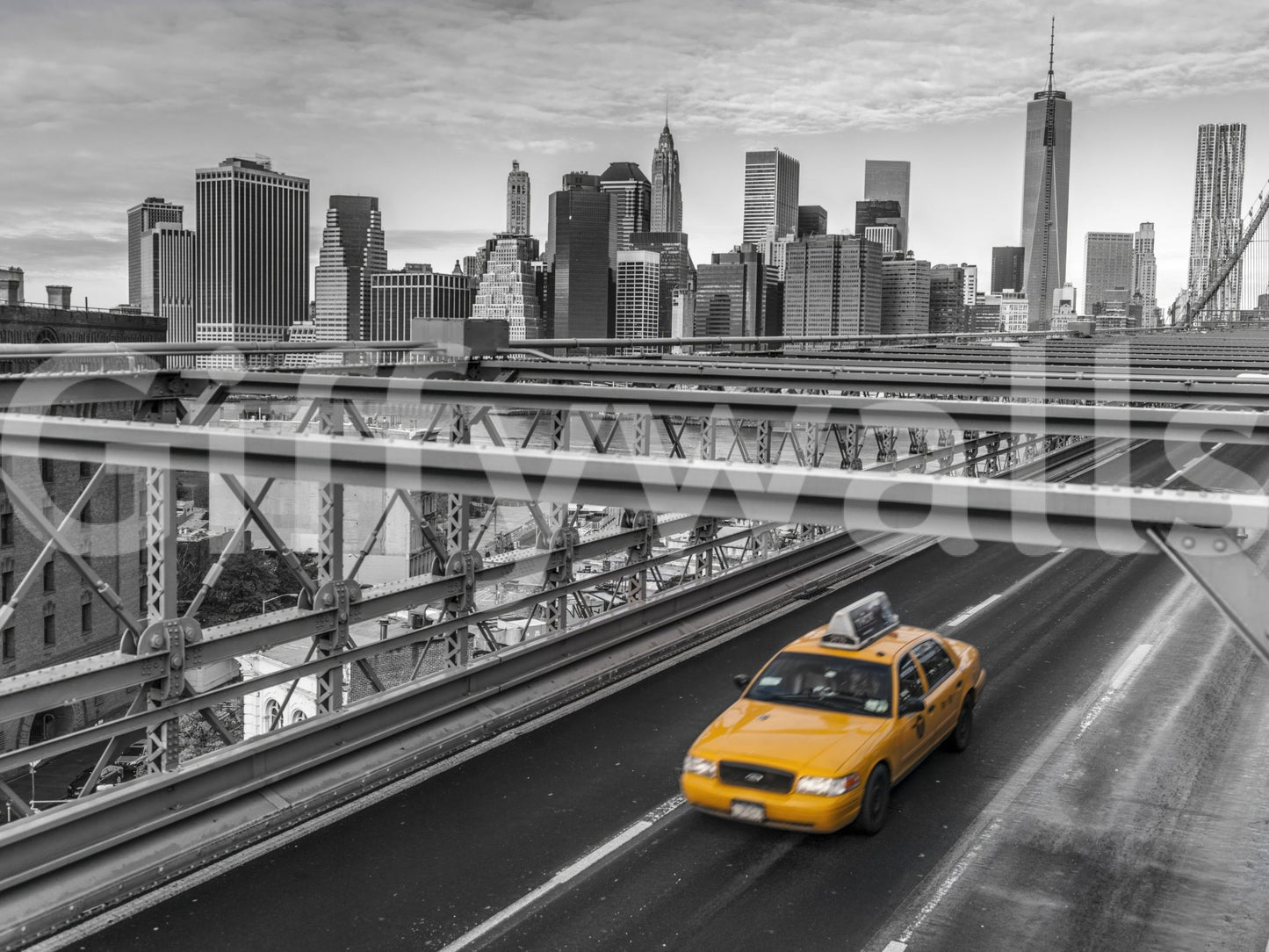 Monochrome tones creating a dramatic focal point for any room