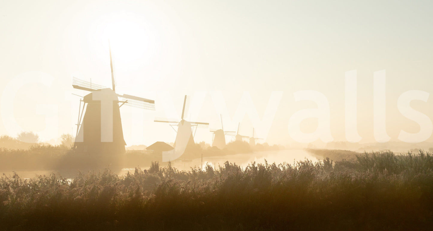 Golden Hour at Kinderdijk Wall Mural -2352343