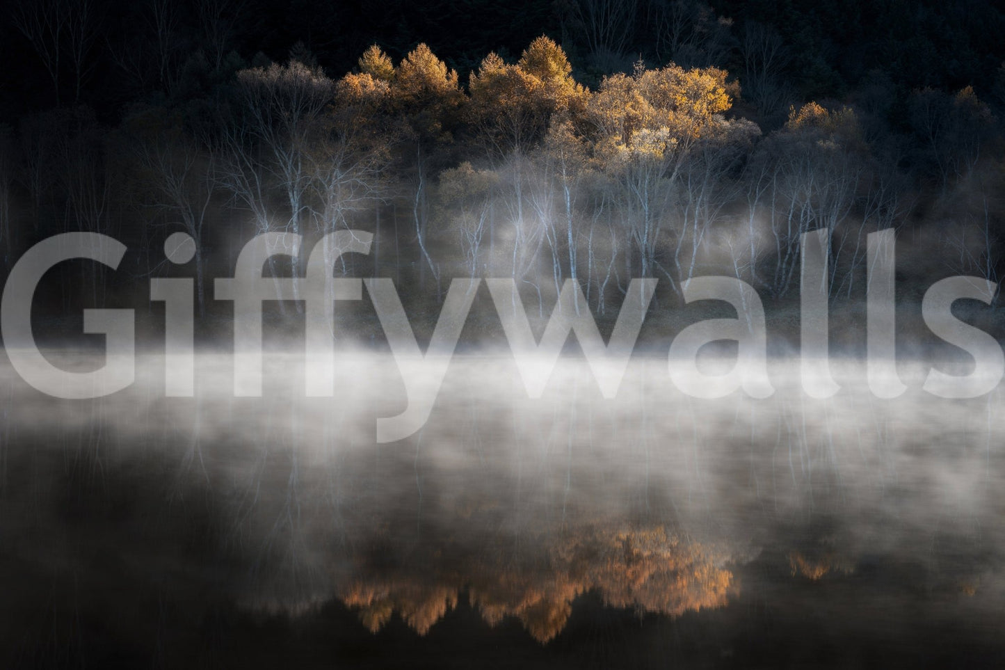 Striking Golden Woodland wallpaper, tranquil waterside scenery.