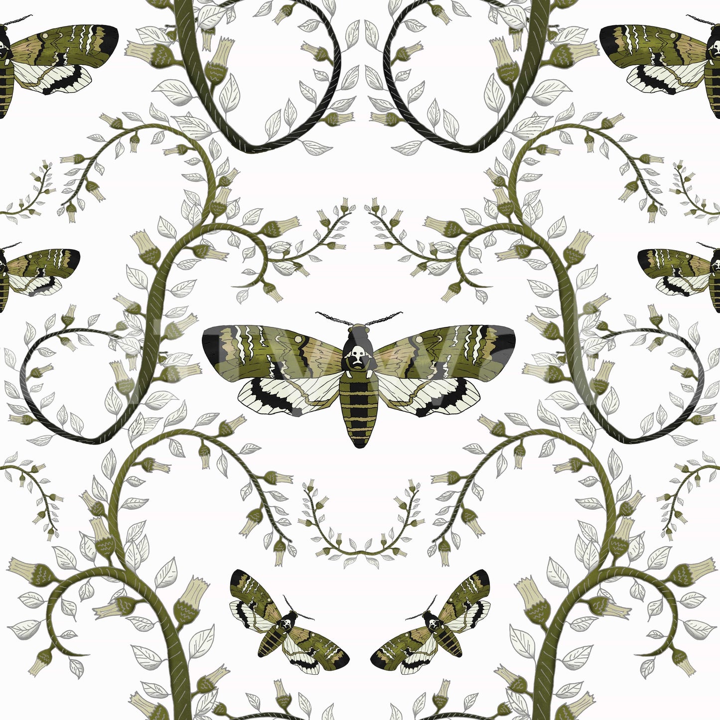 Death's-Head Hawkmoth Garden Wallpaper