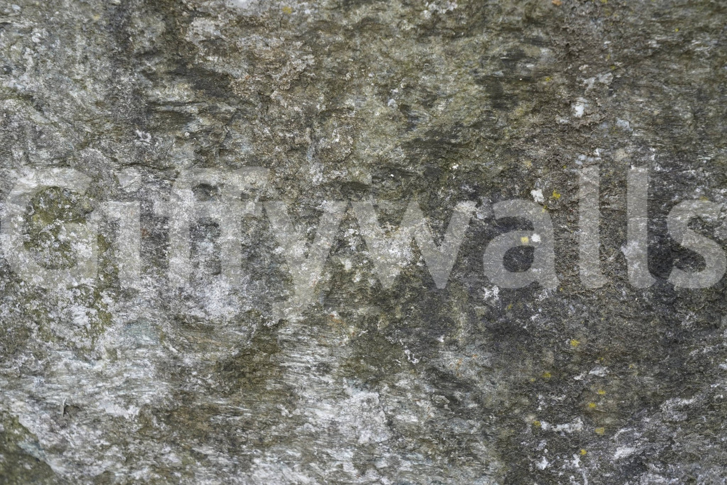 Granite Grit Wall Mural -2566620