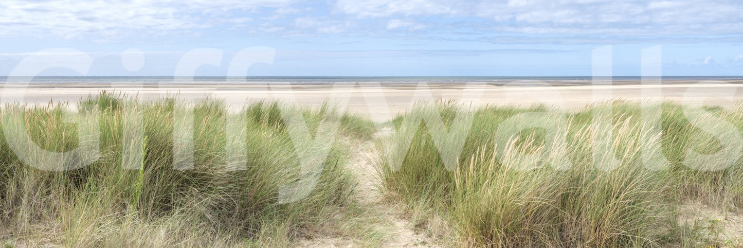 Grassland by the Sea wall mural creates serene nature wallpaper decor.