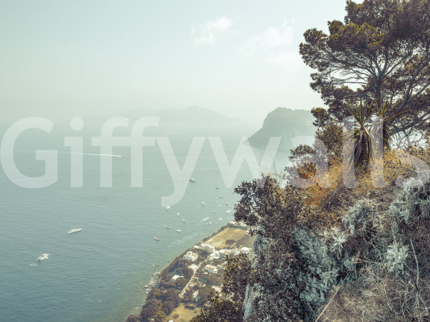 Wall decor evoking serene coastal landscapes.