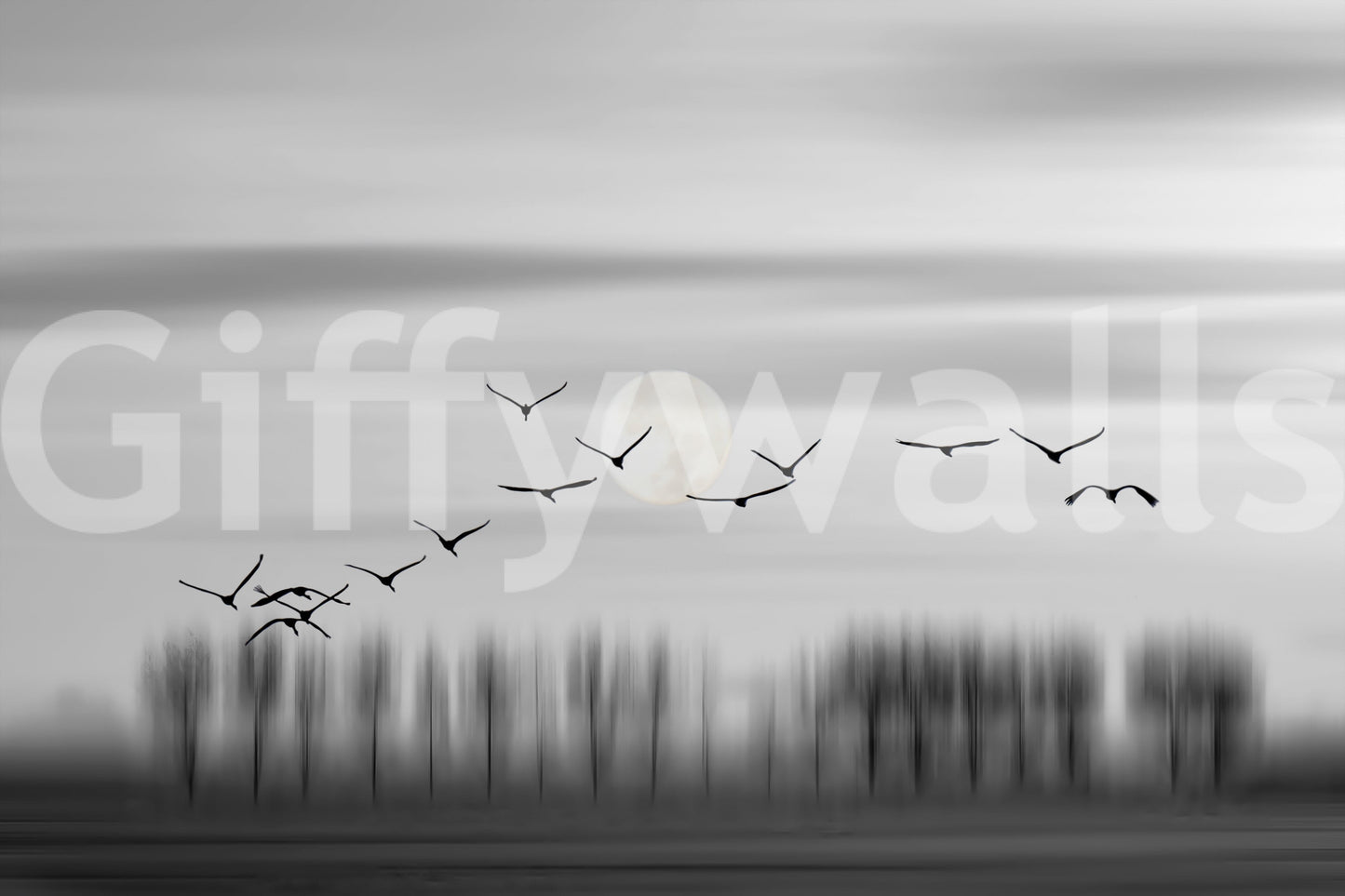 Lunar Flight Wall Mural -2275637