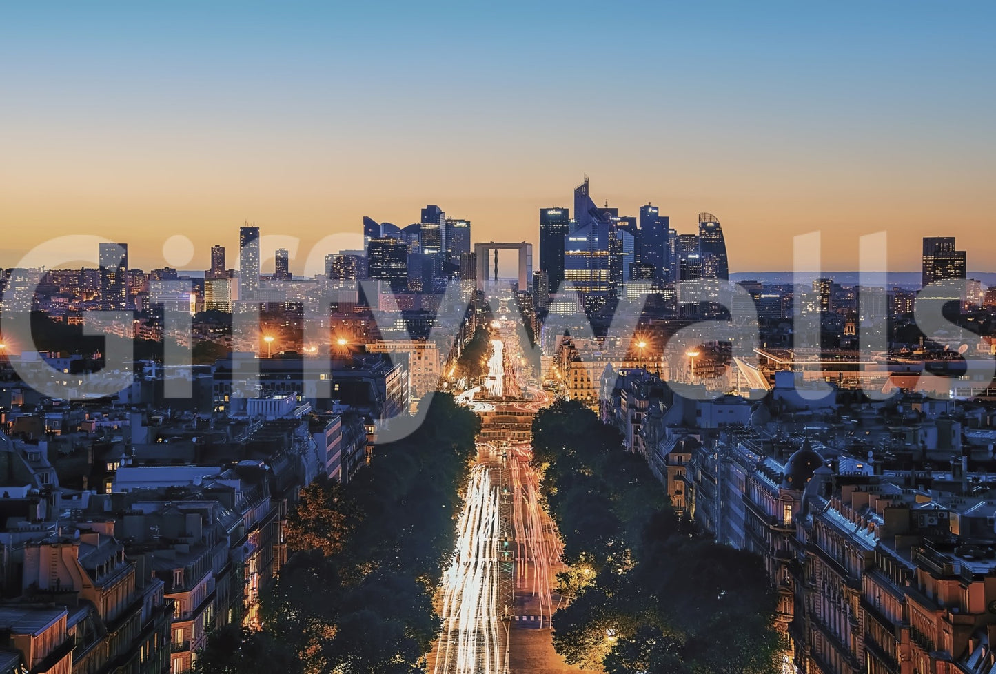 Metropolis Dusk Wall Mural