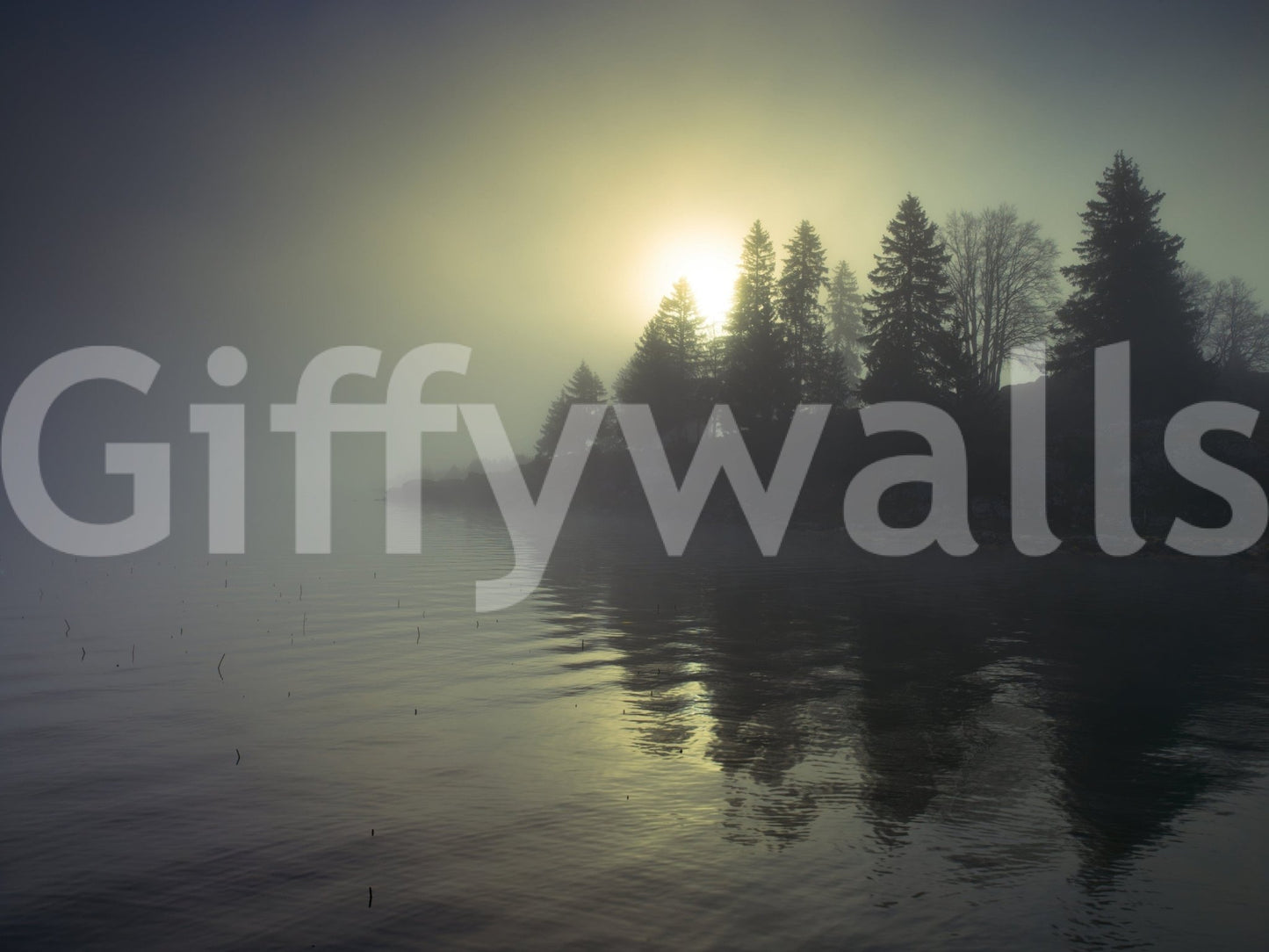 Accent wall mural of misty dawn landscape, modern apartment decor in neutral colors