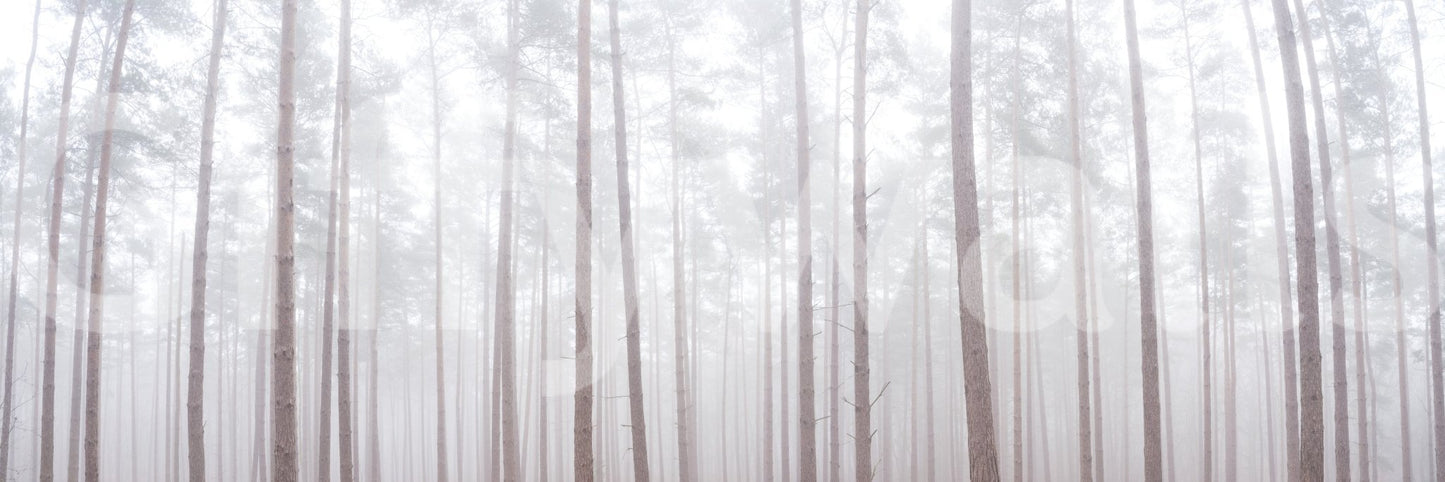 Gentle forest wallpaper with vertical composition
