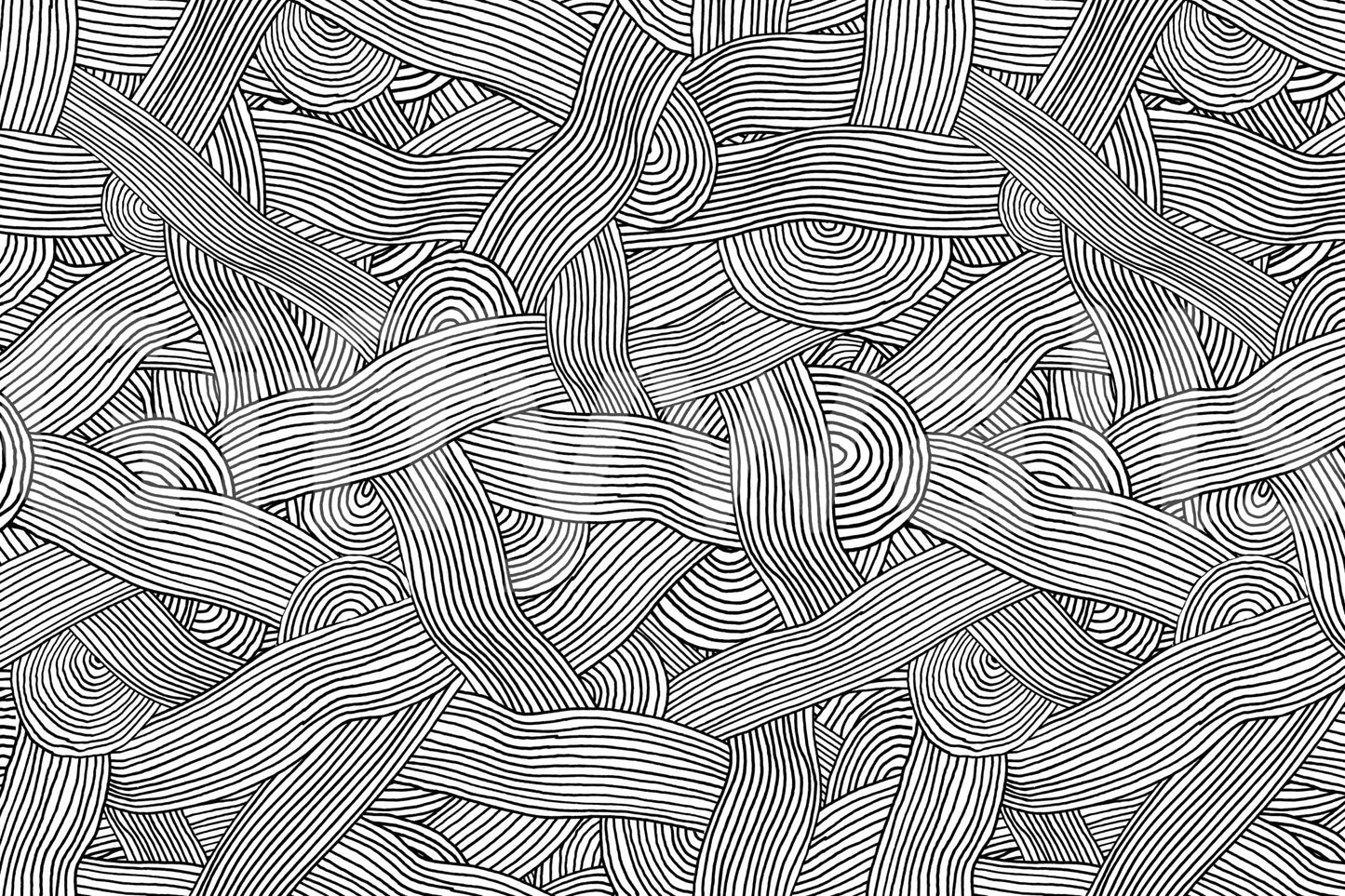 Monochromatic Striped Maze wall mural close-up showing the interwoven black and white line pattern