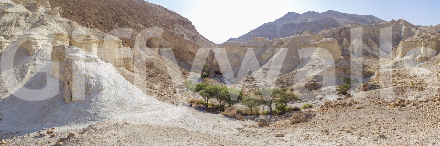 Wall decor with a unique and captivating landscape.