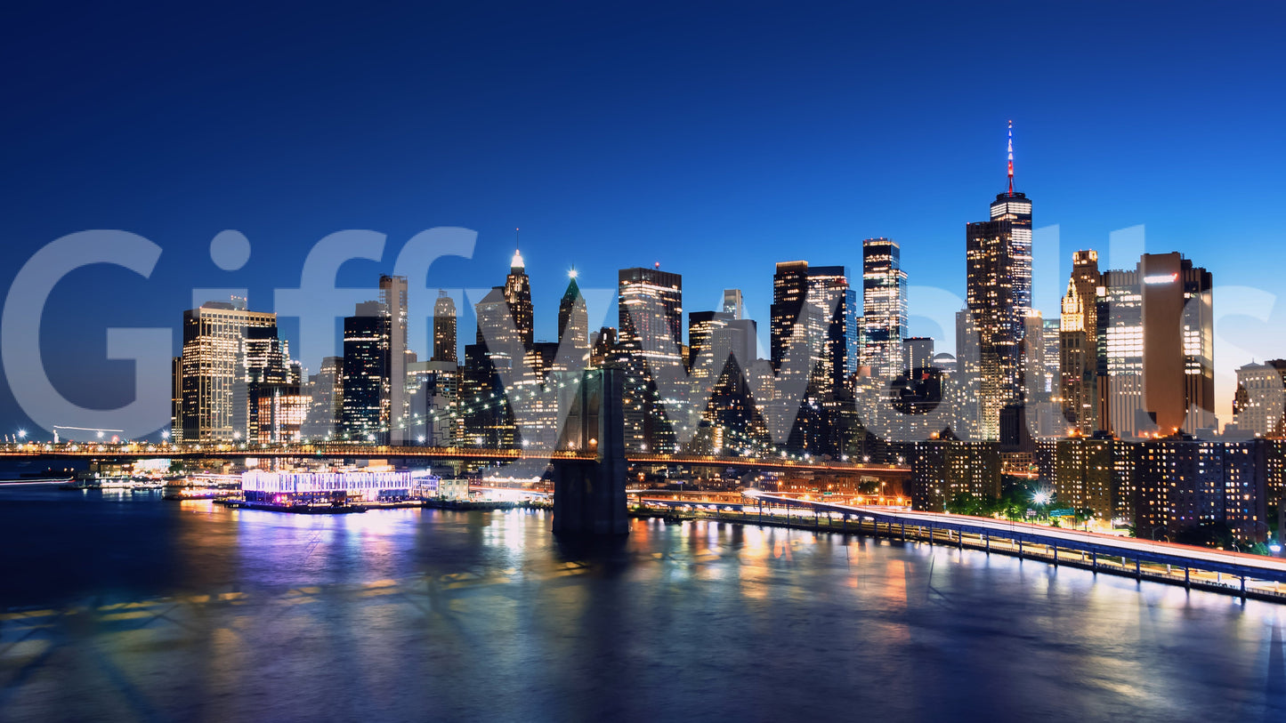 Night Metropolis Wall Mural